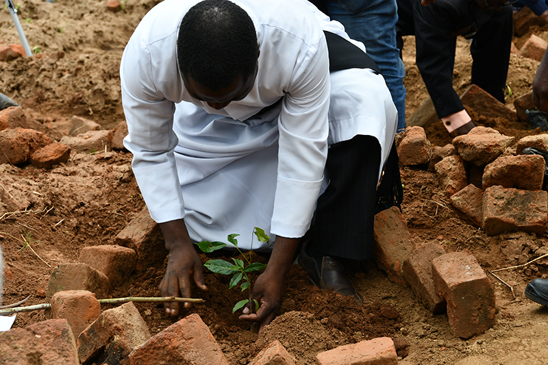 NATIONAL BANK IN A NATIONWIDE TREE PLANTING INITIATIVE